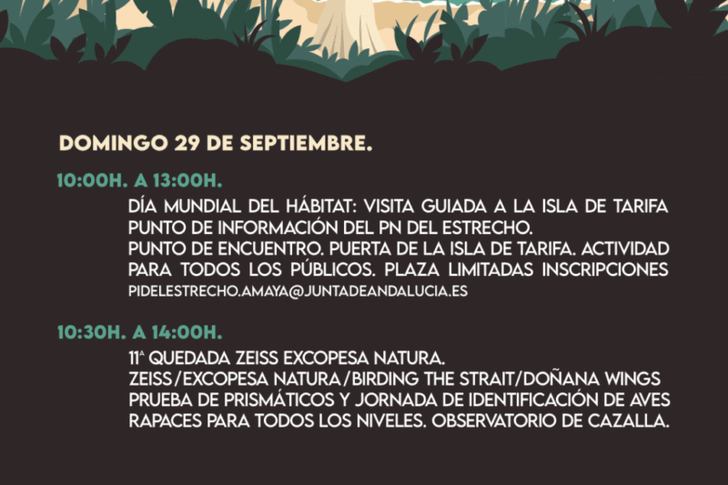 Descubre el nuevo centro de interpretación de Tarifa